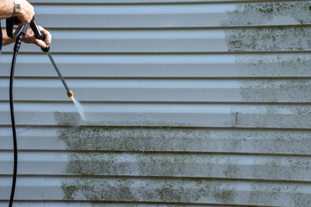 Best Shed Removal  in Freeland, PA