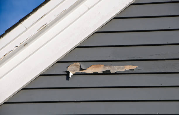 Best Shed Removal  in Freeland, PA
